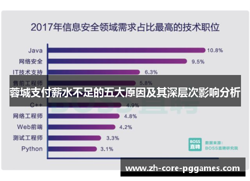 蓉城支付薪水不足的五大原因及其深层次影响分析 蓉城支付薪水不足的五大原因及其深层次影响分析
