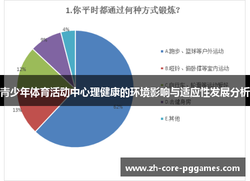 青少年体育活动中心理健康的环境影响与适应性发展分析