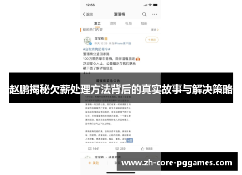 赵鹏揭秘欠薪处理方法背后的真实故事与解决策略