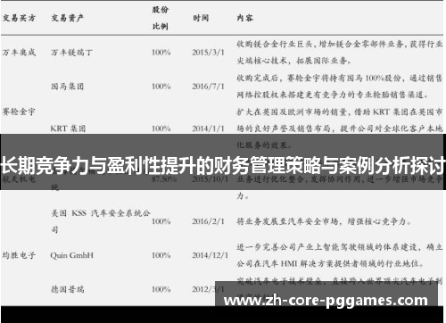 长期竞争力与盈利性提升的财务管理策略与案例分析探讨