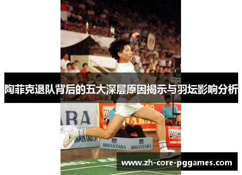 陶菲克退队背后的五大深层原因揭示与羽坛影响分析